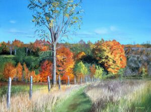 Call for 2025 Bruce Trail Conservancy Calendar Art