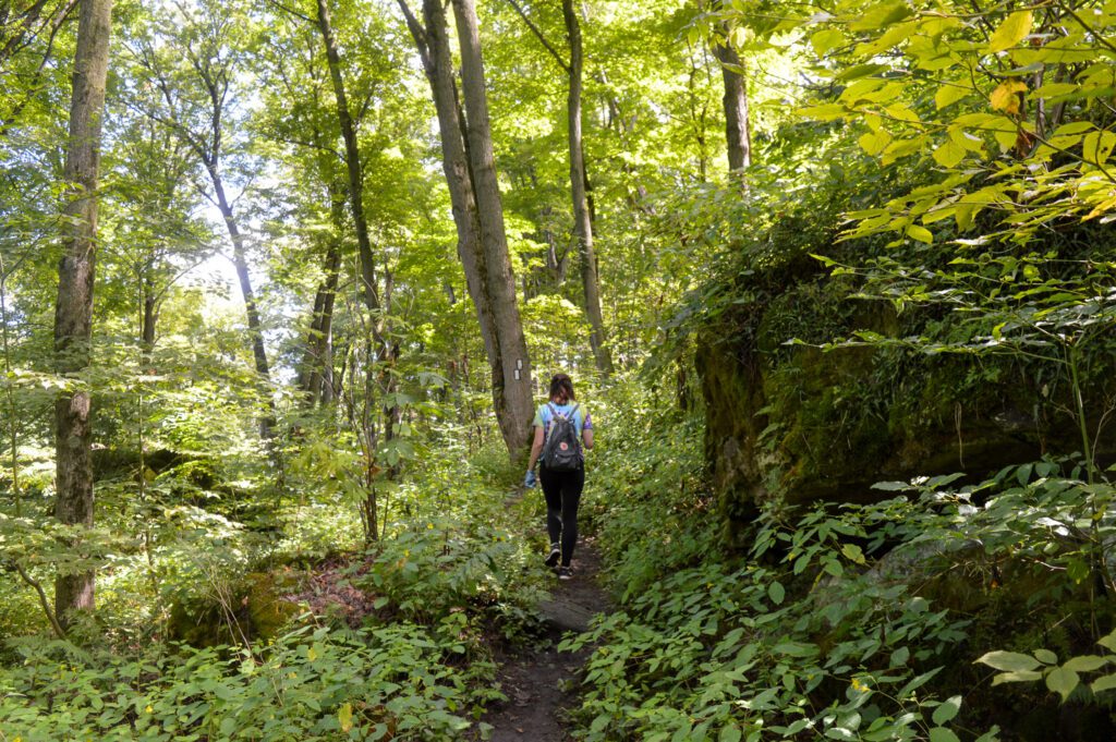 Summer Hike