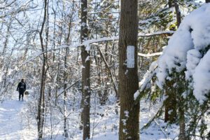 Hiking in the winter